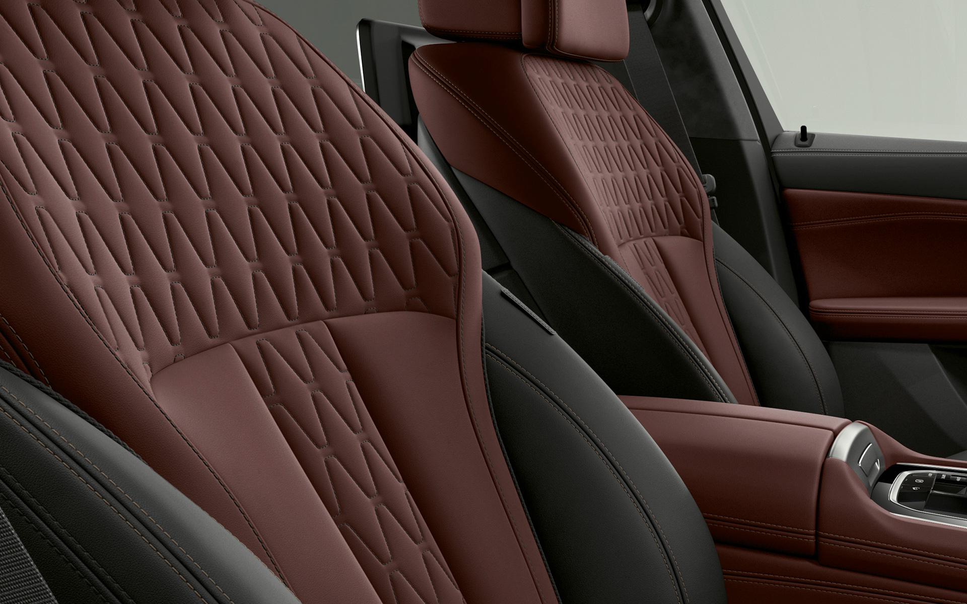 BMW Individual upholstery BMW X6 Individual G06 2019 close-up