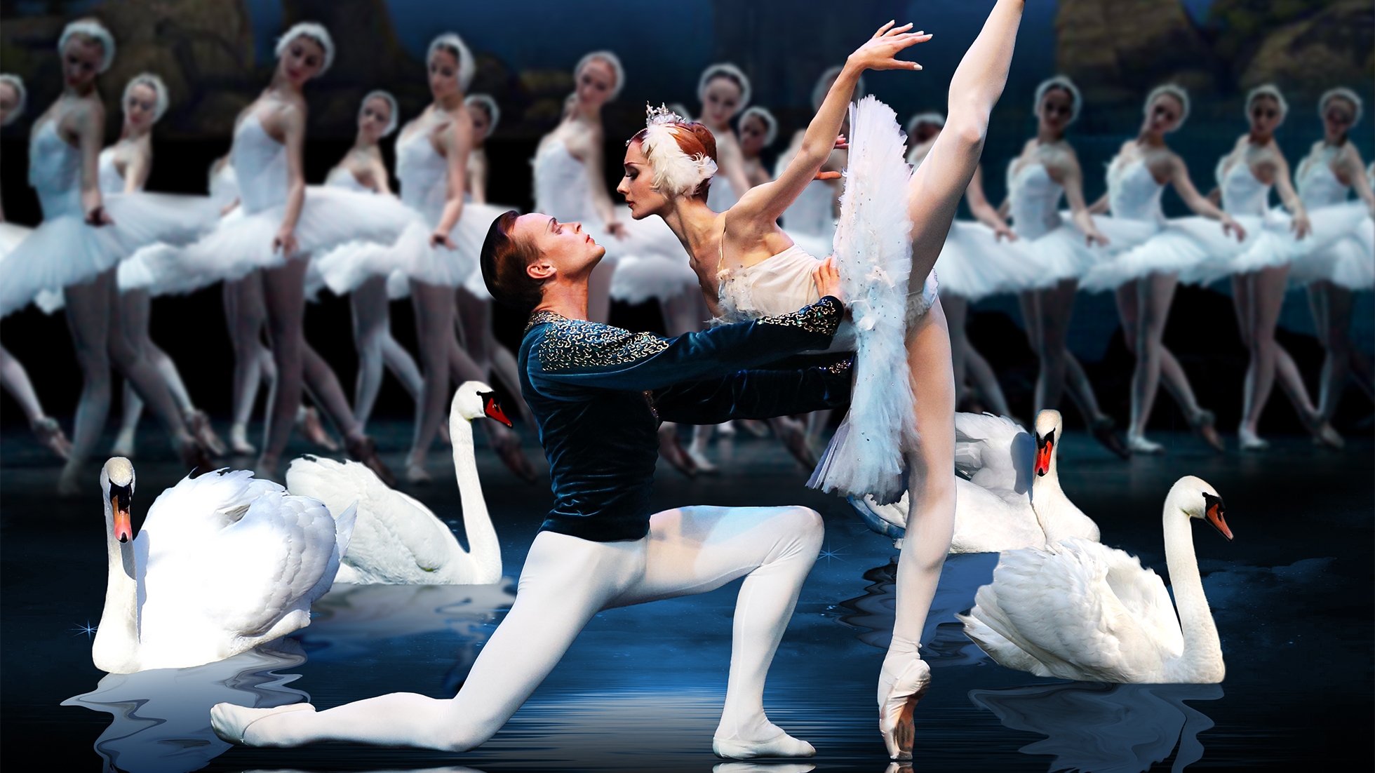 SWAN LAKE SWAN LAKE
